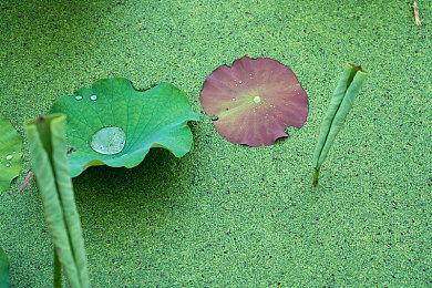 《告别回忆》系列新作Steam页面上线 4月9日发售